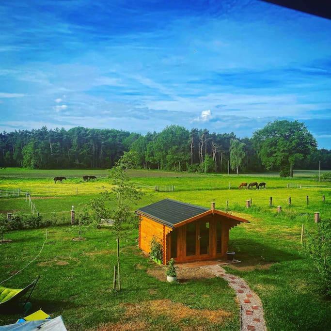Wunderschoene Ferienwohnung Auf Dem Bauernhof Greven Exterior foto