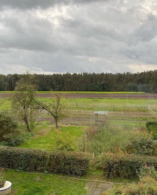 Wunderschoene Ferienwohnung Auf Dem Bauernhof Greven Exterior foto