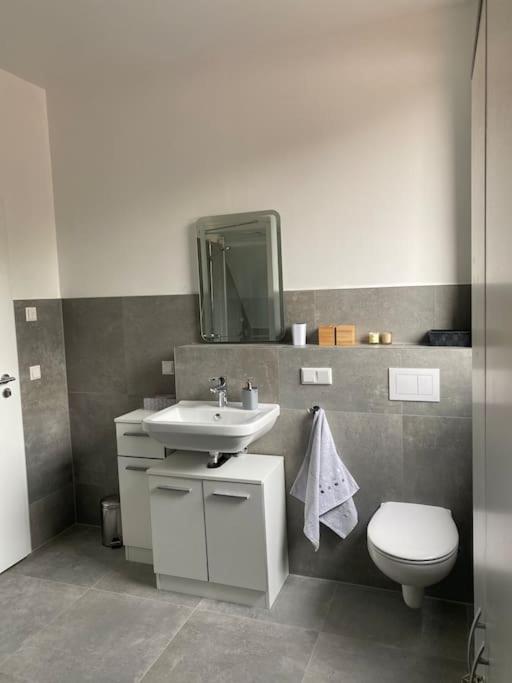 Wunderschoene Ferienwohnung Auf Dem Bauernhof Greven Exterior foto